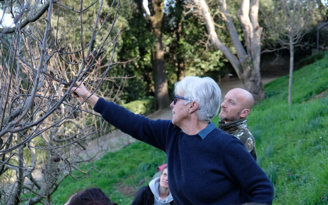 Corso di Gestione Sostenibile del Frutteto (Potature, Innesti e Varietà Antiche) – Sabato 7, 14 e 21 Febbraio 2026