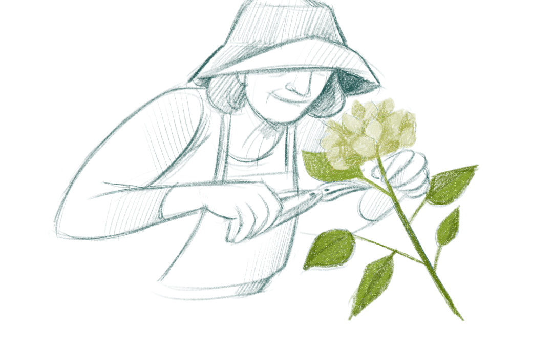 CORSO IN PILLOLE – Conoscere le Orchidee