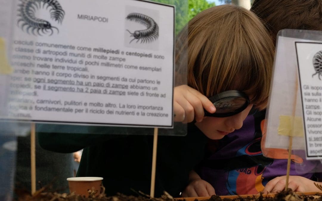 Ortolandia “Laboratorio di Microsafari” con Amici dei Musei Fiorentini Didattica
