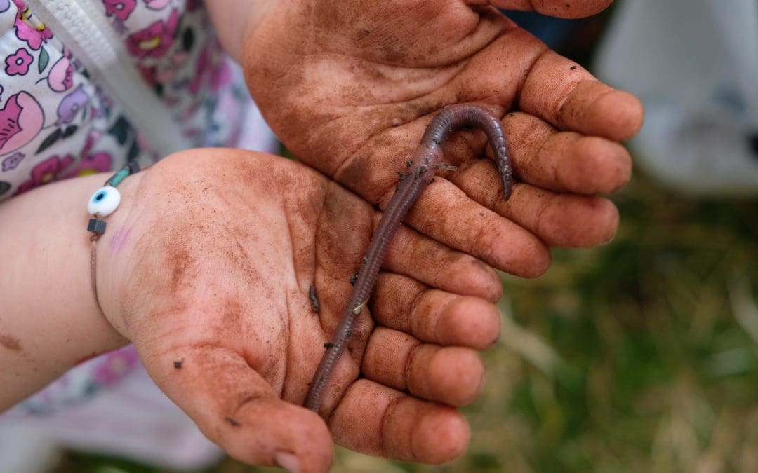 ORTOLANDIA: Il Magico Mondo dei Lombrichi (LABORATORIO PER BAMBINI)