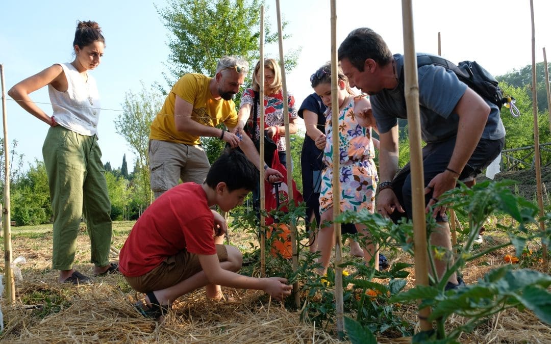 “Q&A Orti Comunitari” – Momento aperto per fare tutte le domande rimaste in sospeso agli esperti dell’orto