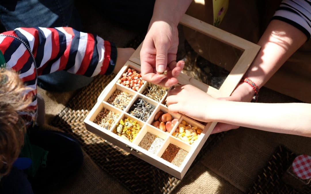 Corso in Pillole “Semi: raccolta, conservazione e riproduzione” con Francesco Trambusti