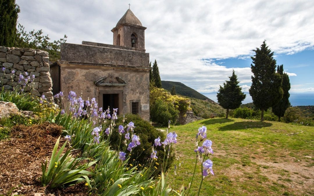 Visita guidata all’Orto dei Semplici Elbano con Francesco Marino