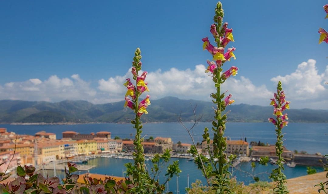 Passeggiata tra i giardini di Portoferraio “Dalla Porta a Terra al Grigolo” a cura di Paola Muscari